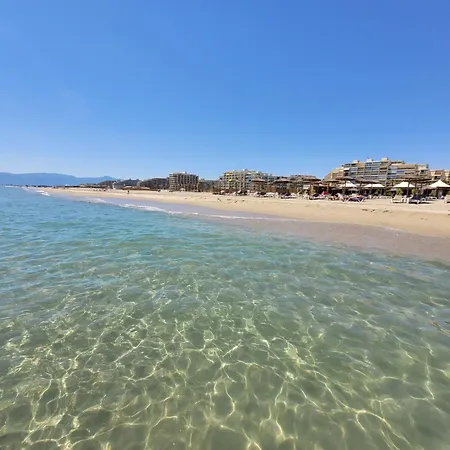 Apartment - 4 Pers, Vue Mer, Ascenseur, Parking, Animaux Admis - Fr-1-794-135 Canet-en-Roussillon